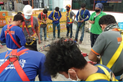 234442550_347223043778883_2547990398402954586_n