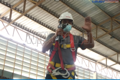 234442550_347223043778883_2547990398402954586_n