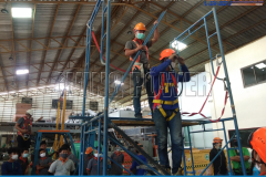 234442550_347223043778883_2547990398402954586_n