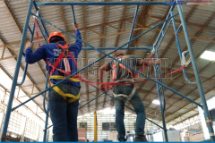 234442550_347223043778883_2547990398402954586_n