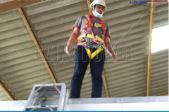 234442550_347223043778883_2547990398402954586_n